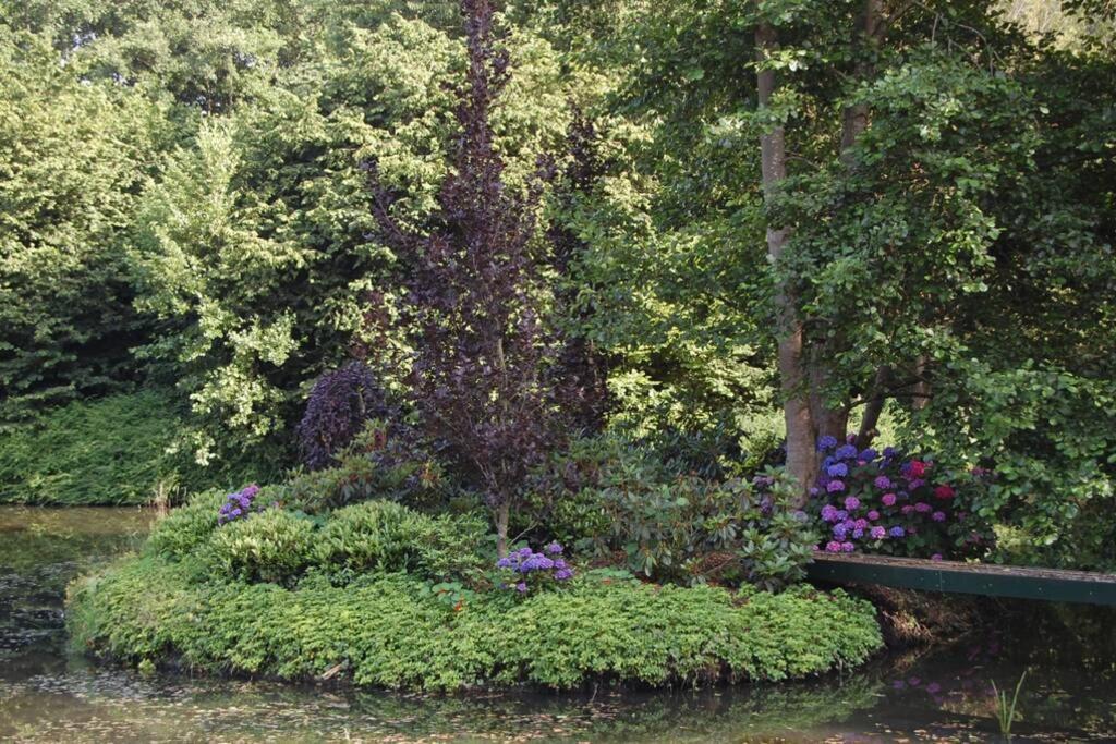 Blokhut De Vlinder Gelegen Nabij Het Pieterpad Villa Coevorden Bagian luar foto